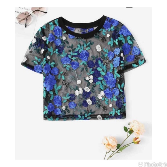 Embroidered Floral Sheer Mesh Crop Top - Picture 1 of 8